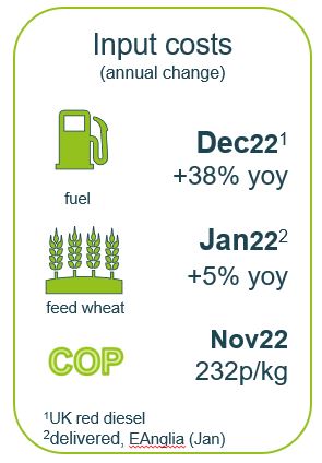 infographic showing year on year change in key inputs